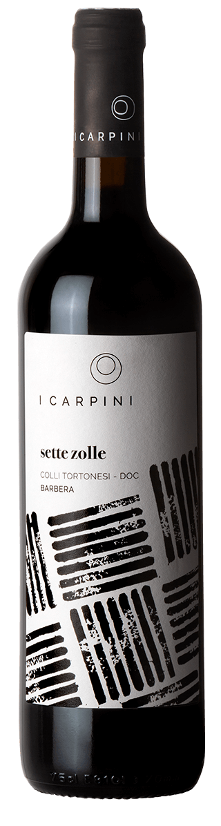 Sette Zolle Colli Toronesi DOC Barbera I Carpini